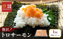 【丸友水産】トロサーモン&nbsp;250g×4パック&nbsp;計1kg｜京都&nbsp;トロサーモン&nbsp;ノルウェー産［&nbsp;京都&nbsp;ノルウェーサーモンの中落ち&nbsp;丸友水産&nbsp;京都中央卸売市場&nbsp;ノルウェー産サーモン&nbsp;トロサーモン&nbsp;人気&nbsp;おすすめ&nbsp;おいしい&nbsp;お取り寄せ&nbsp;通販&nbsp;送料無料&nbsp;ふるさと納税&nbsp;］