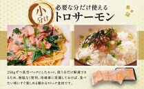 【丸友水産】トロサーモン&nbsp;250g×8パック&nbsp;計2kg｜京都&nbsp;トロサーモン&nbsp;ノルウェー産［&nbsp;京都&nbsp;ノルウェーサーモンの中落ち&nbsp;丸友水産&nbsp;京都中央卸売市場&nbsp;ノルウェー産サーモン&nbsp;トロサーモン&nbsp;人気&nbsp;おすすめ&nbsp;おいしい&nbsp;お取り寄せ&nbsp;通販&nbsp;送料無料&nbsp;ふるさと納税&nbsp;］