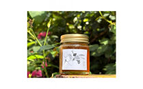 【希少】梅若能楽堂のニホンミツバチのはちみつ