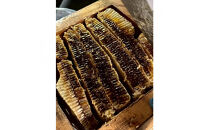 【希少】梅若能楽堂のニホンミツバチのはちみつ