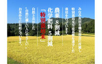 「とやの里山継承プロジェクト対象」【天水棚田米】南魚沼塩沢産コシヒカリ　精米3kg全1回