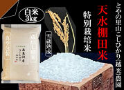 「とやの里山継承プロジェクト対象」【天水棚田米】南魚沼塩沢産コシヒカリ　精米3kg全1回