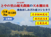 令和7年産定期便【とやの里山越光農園の天水棚田米】特別栽培米雪蔵熟成しおざわ産コシヒカリ　精米3kg全12回　2025年12月下旬より発送
