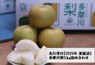 【2026年夏配送】多摩川梨５ｋｇ詰め合わせ