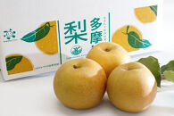【2026年夏配送】多摩川梨５ｋｇ詰め合わせ