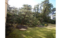 今まで知らなかった三保松原　喧騒を離れ日本庭園を一人占め　気軽に一日旅心&nbsp;～羽衣ホテルでアートや文学　歴史を知り松原を清めて三保松原を慈しむ～