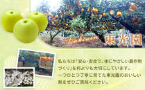 【2026年9月発送】二十世紀梨&nbsp;5kg【先行予約&nbsp;梨&nbsp;なし&nbsp;果物&nbsp;フルーツ&nbsp;5キロ&nbsp;鳥取県産&nbsp;北栄町&nbsp;おすすめ&nbsp;人気】