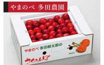 ＜先行予約＞【山形美人】バラ詰&nbsp;L～2L&nbsp;500g【やまのべ多田耕太郎のさくらんぼ&nbsp;多田農園】