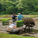【令和7年産】有機肥料米ナオちゃんのお米【出雲市産きぬむすめ】