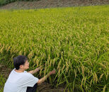 【令和7年産】有機肥料米ナオちゃんのお米【出雲市産きぬむすめ】
