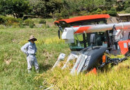 【令和7年産】有機肥料米ナオちゃんのお米【出雲市産きぬむすめ】