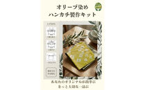 オリーブ染めセット（体験キット）ハンカチ２枚付き