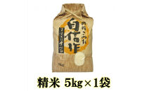 【令和7年産】佐渡産もち米&nbsp;こがねもち&nbsp;精米5kg×1袋