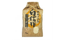 【令和7年産】佐渡産もち米&nbsp;こがねもち&nbsp;精米5kg×1袋