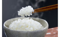 令和7年北海道産&nbsp;きらら397&nbsp;5kg（5kg×1袋）&nbsp;【&nbsp;白米&nbsp;精米&nbsp;ご飯&nbsp;ごはん&nbsp;米&nbsp;5kg&nbsp;&nbsp;お米&nbsp;旭川市ふるさと納税&nbsp;北海道ふるさと納税&nbsp;】_05643