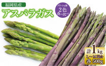 【2026年7月以降出荷】福岡県産アスパラガス&nbsp;夏芽&nbsp;紫・緑セット&nbsp;（L-Mサイズ混合&nbsp;計1kg）