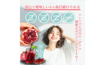 【全3回】魅惑ザクロ&nbsp;GINGER&nbsp;Boost(福岡市返礼品)【4袋入り】