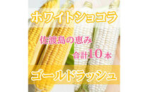 【2026年6月以降発送分】高糖度とうもろこし「ゴールドラッシュ」&「ホワイトショコラ」各5本&nbsp;食べ比べセット
