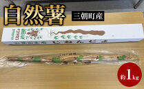 三朝町産&nbsp;自然薯（約1ｋｇ）