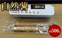 三朝町産&nbsp;自然薯（約500g）