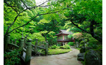 神戸迎賓館&nbsp;旧西尾邸&nbsp;ギフト券&nbsp;3,000円