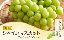 【2回&nbsp;定期便】フルーツ&nbsp;肉&nbsp;2026年&nbsp;&nbsp;晴れの国&nbsp;おかやま&nbsp;の&nbsp;旬のフルーツと&nbsp;A5等級&nbsp;黒毛&nbsp;和牛&nbsp;2回&nbsp;定期便&nbsp;ぶどう&nbsp;牛肉&nbsp;&nbsp;岡山県産&nbsp;国産&nbsp;ギフト