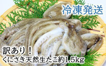 【訳あり】くにさき天然冷凍生たこ約1.5kg_2653R-2