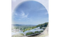 [HS]ぶどう先行予約9月・10月発送シャインマスカット晴王2k箱（3～5房）