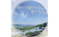 [HS]【定期便全2回】ぶどう先行予約9月・10月発送シャインマスカット晴王2k箱（3～5房）