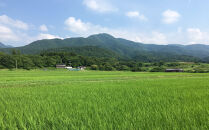 【定期便】佐渡産高千産こしひかり&nbsp;精米5kg【12ヶ月連続お届け】