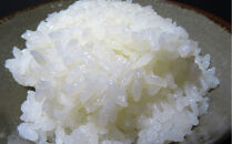 【定期便】佐渡産高千産こしひかり&nbsp;精米5kg【12ヶ月連続お届け】