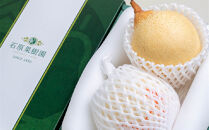 梨&nbsp;2026年&nbsp;&nbsp;鴨梨（ヤーリー）2玉&nbsp;贈答箱赤秀【ナシ&nbsp;なし&nbsp;岡山県産&nbsp;国産&nbsp;フルーツ&nbsp;果物&nbsp;ギフト&nbsp;石原果樹園】