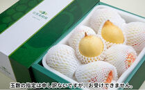 梨&nbsp;2026年&nbsp;&nbsp;鴨梨（ヤーリー）6～12玉&nbsp;約4.5kg&nbsp;贈答箱【ナシ&nbsp;なし&nbsp;岡山県産&nbsp;国産&nbsp;フルーツ&nbsp;果物&nbsp;ギフト&nbsp;石原果樹園】