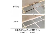 ピカットロンプロ４リットル_1245600342_00