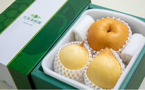 梨&nbsp;2026年&nbsp;&nbsp;あたご梨・鴨梨（ヤーリー）詰合せ&nbsp;各1玉&nbsp;贈答箱赤秀【ナシ&nbsp;なし&nbsp;岡山県産&nbsp;国産&nbsp;フルーツ&nbsp;果物&nbsp;ギフト&nbsp;石原果樹園】