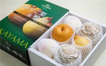 梨&nbsp;2026年&nbsp;&nbsp;あたご梨・鴨梨（ヤーリー）詰合せ&nbsp;合計約4kg&nbsp;化粧贈答箱赤秀【ナシ&nbsp;なし&nbsp;岡山県産&nbsp;国産&nbsp;フルーツ&nbsp;果物&nbsp;ギフト&nbsp;石原果樹園】