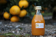 数量限定&nbsp;有田みかんの産地から届く&nbsp;果汁100％！&nbsp;搾りたての柑橘ジュース&nbsp;180ml×24本