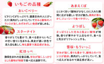 【期間限定】鎌倉産いちご　2パック食べ比べセット（250ｇ～260ｇ×2パック）
