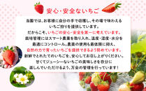 【期間限定】鎌倉産いちご　4パック食べ比べセット（250ｇ～260ｇ×4パック）