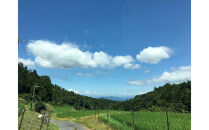 米粒が光る近江棚田米&nbsp;農林22号白米5kg&nbsp;天日干し&nbsp;栽培期間中農薬・化学肥料不使用