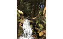 米粒が光る近江棚田米&nbsp;農林22号白米5kg&nbsp;天日干し&nbsp;栽培期間中農薬・化学肥料不使用