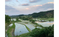 米粒が光る近江棚田米&nbsp;農林22号白米5kg&nbsp;天日干し&nbsp;栽培期間中農薬・化学肥料不使用