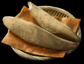 【3種セット】優れだし&nbsp;(かつお・あわせ・焼きあご各2個)&nbsp;計6個&nbsp;食塩無添加