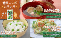 【3種セット】だしの素(いりこ・こんぶ各2個)&nbsp;芳醇すり(800g×2個)