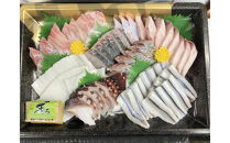 【3月お届け】【冷凍便】能登のお刺身盛り合わせセット（4人前）【復興支援】