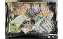 【3月お届け】【冷凍便】能登のお刺身盛り合わせセット（4人前）【復興支援】