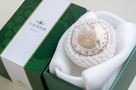 梨&nbsp;2026年&nbsp;&nbsp;あたご梨&nbsp;1玉（約1.3kg）&nbsp;贈答箱赤秀【ナシ&nbsp;なし&nbsp;岡山県産&nbsp;国産&nbsp;フルーツ&nbsp;果物&nbsp;ギフト&nbsp;石原果樹園】