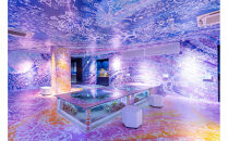 広島もとまち水族館　ファミリー入場券セット（大人2名、小学生2名）