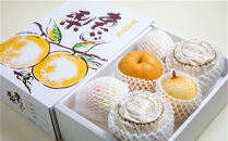 梨&nbsp;2026年&nbsp;&nbsp;家庭用&nbsp;&nbsp;あたご梨（2～3玉）・ヤーリ―&nbsp;（3～7玉）&nbsp;詰合せ計約4kg&nbsp;箱青秀&nbsp;【岡山県産&nbsp;フルーツ&nbsp;ギフト&nbsp;石原果樹園】