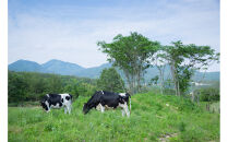 ひろしま&nbsp;さとやまプリン&nbsp;（プレーン６個入り）